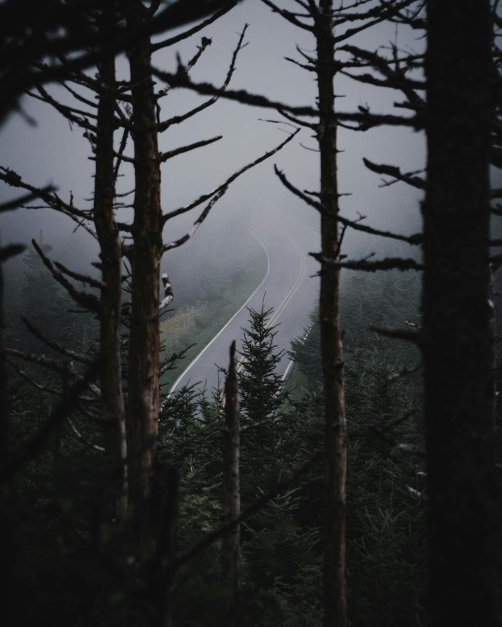 Do Not Assume There Is a Bridge Between Life and&nbsp;Death