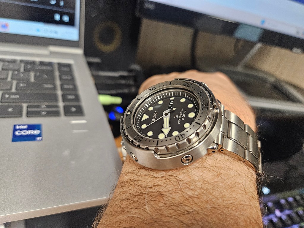 When Mortality Breaks the Watch Hobby&nbsp;Spell