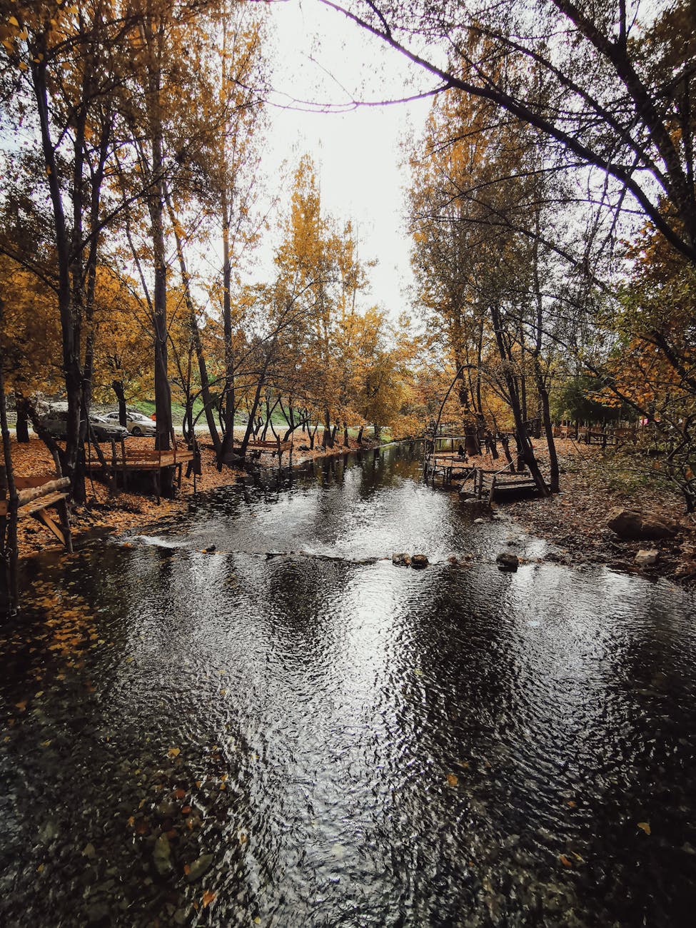 Misaligned with the Modern&nbsp;World