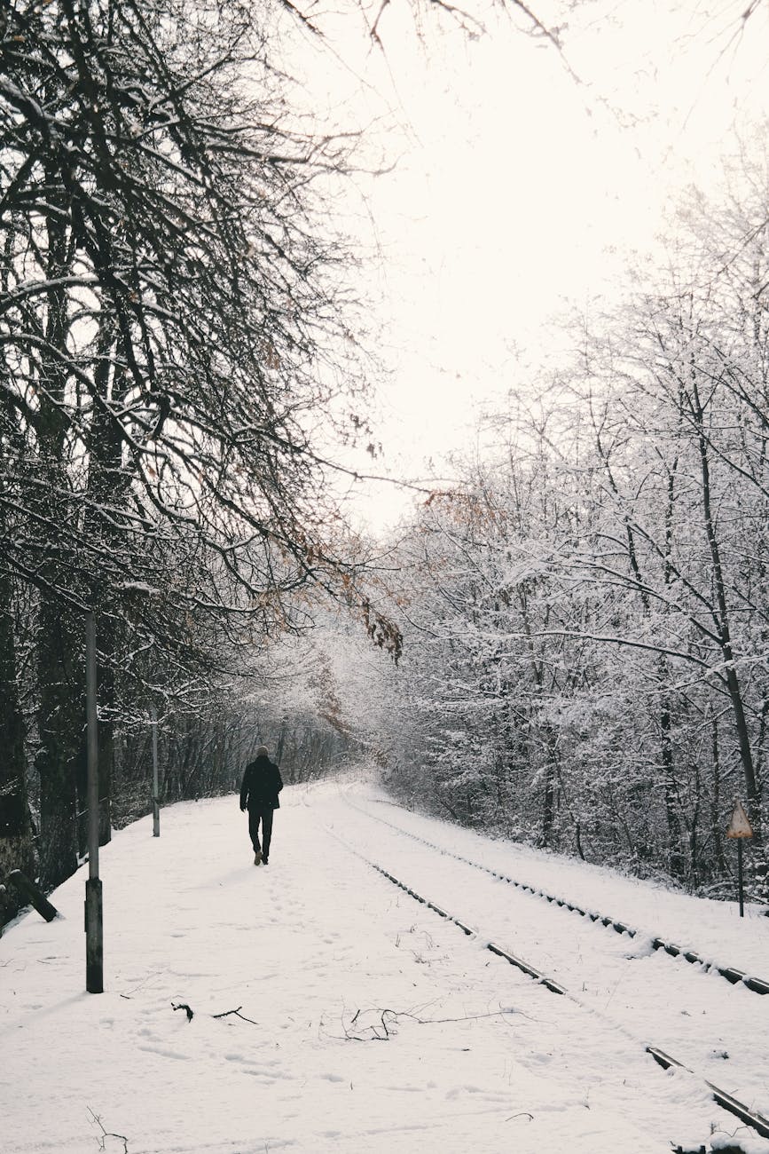 The Theology of Winter: Genius, Power, and the Will to&nbsp;Prevail