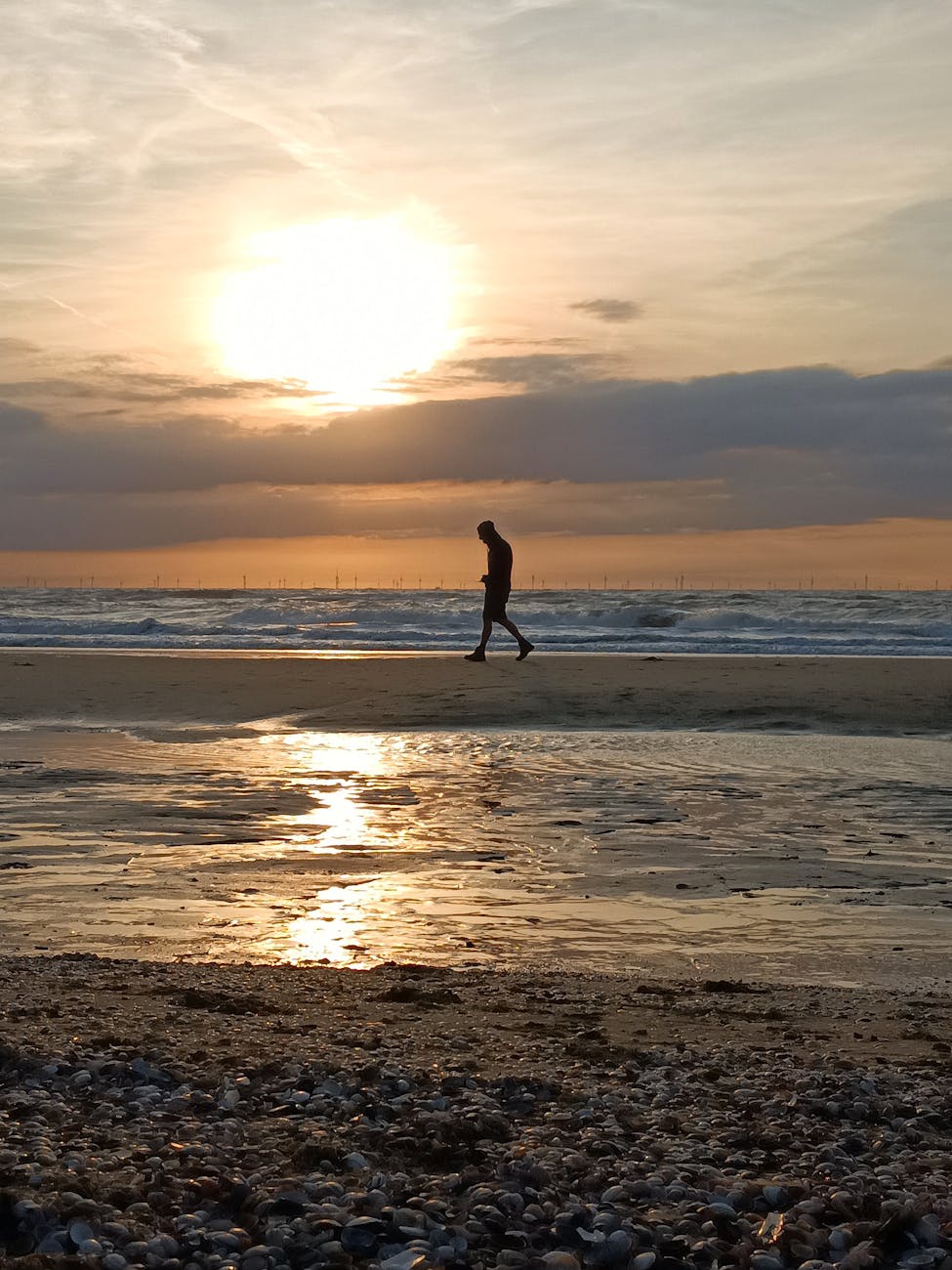 The Day I Logged Off the AI Panic Machine and Walked at the&nbsp;Beach