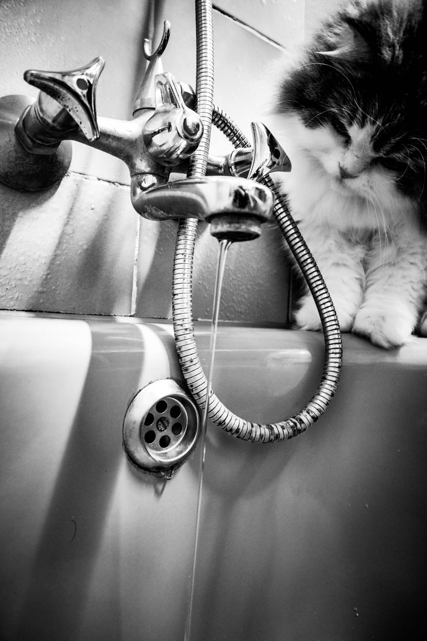 The Hairball Apocalypse and the Courage to Snake a&nbsp;Drain